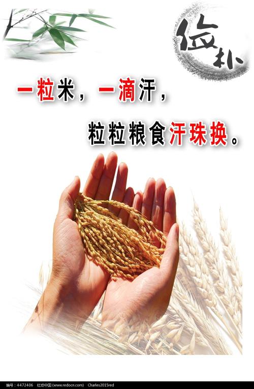 库内奥音乐学院Designdegreecertificate